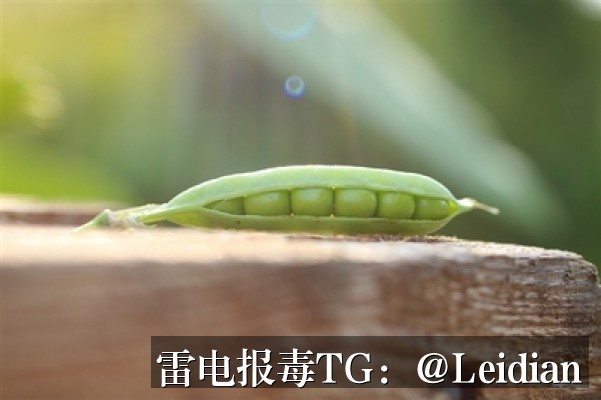 原标题-什么原因App病毒误报检测？从根源排查到误报消除的完整方案